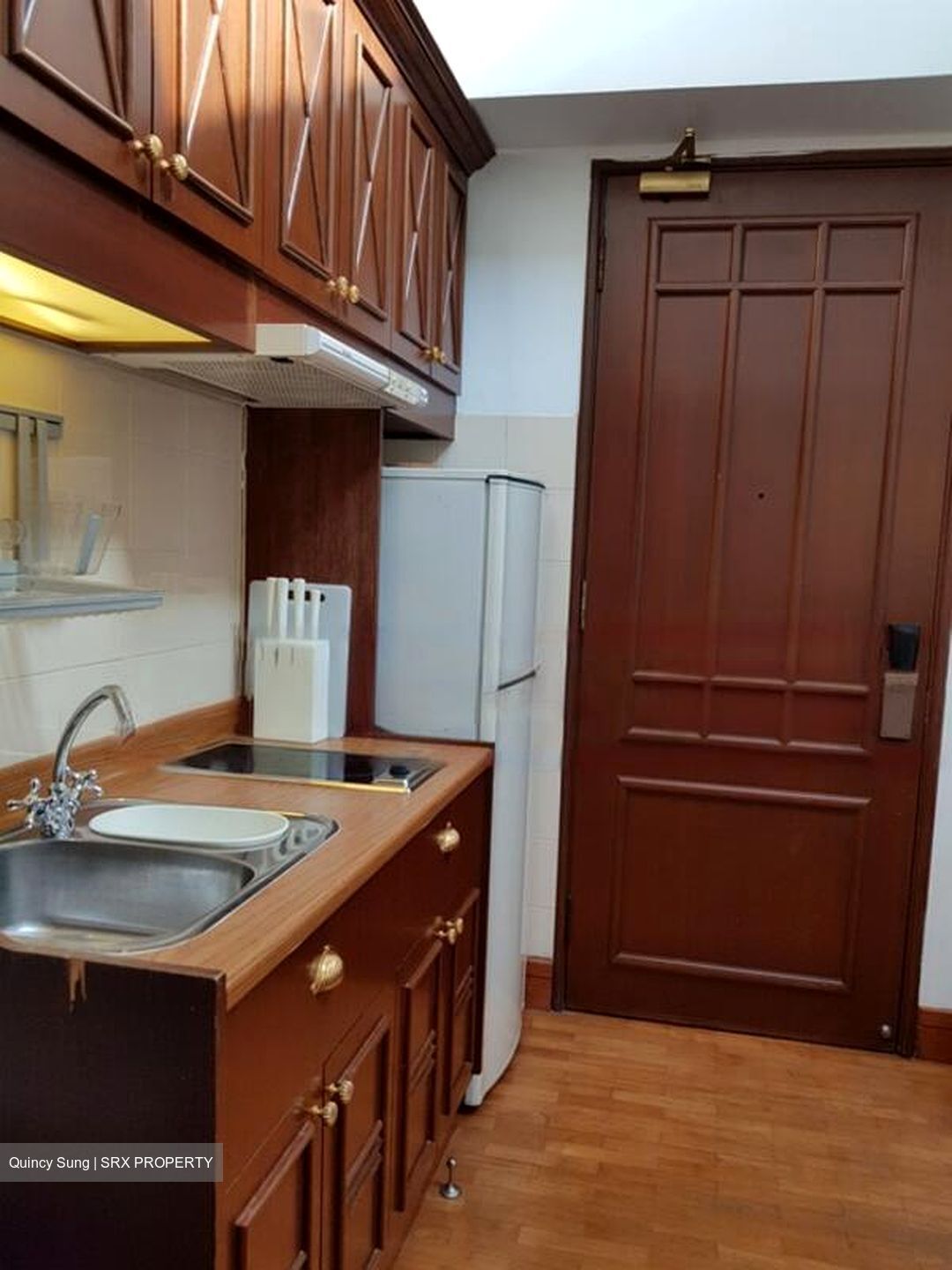 Joo Chiat Place (D15), Detached #482580751